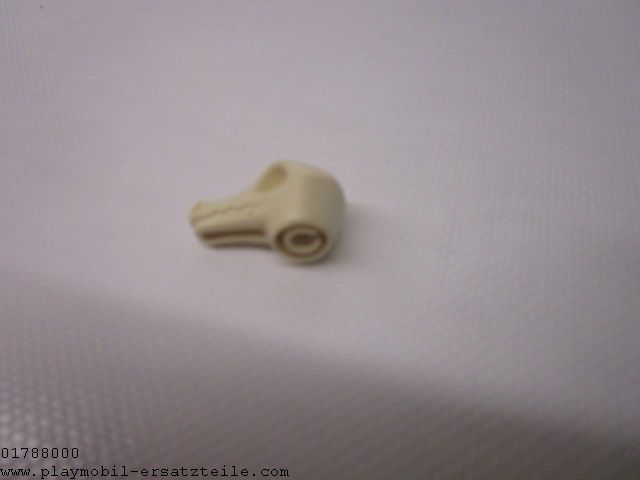 Dino Skelett 30512440C