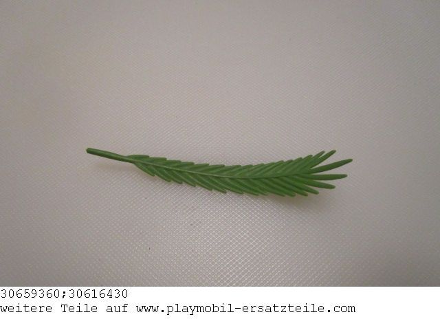 Palmwedel 01 30659360_30616430