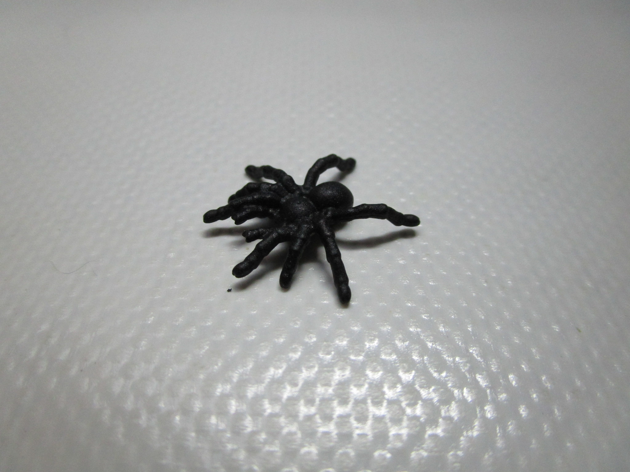 Spinne