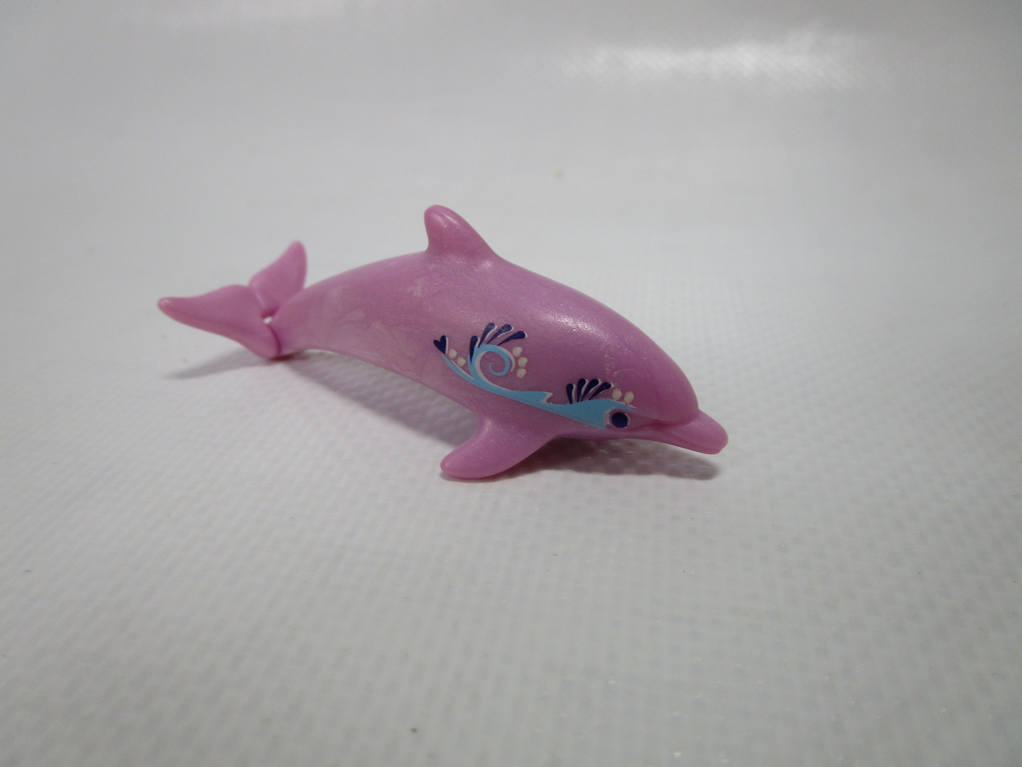 Delfin Junges