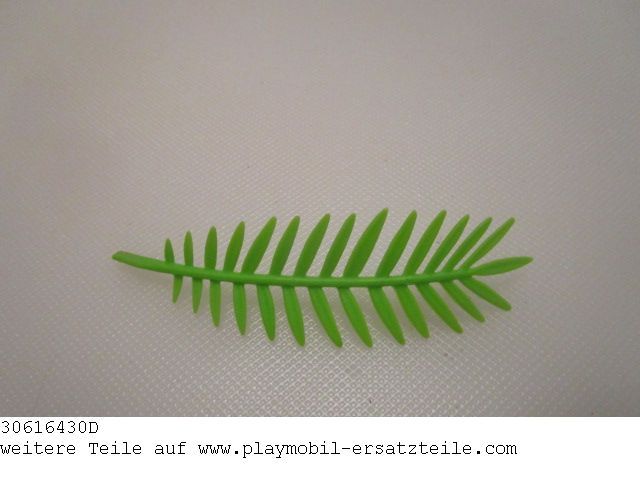 Palmwedel 04 30616430D
