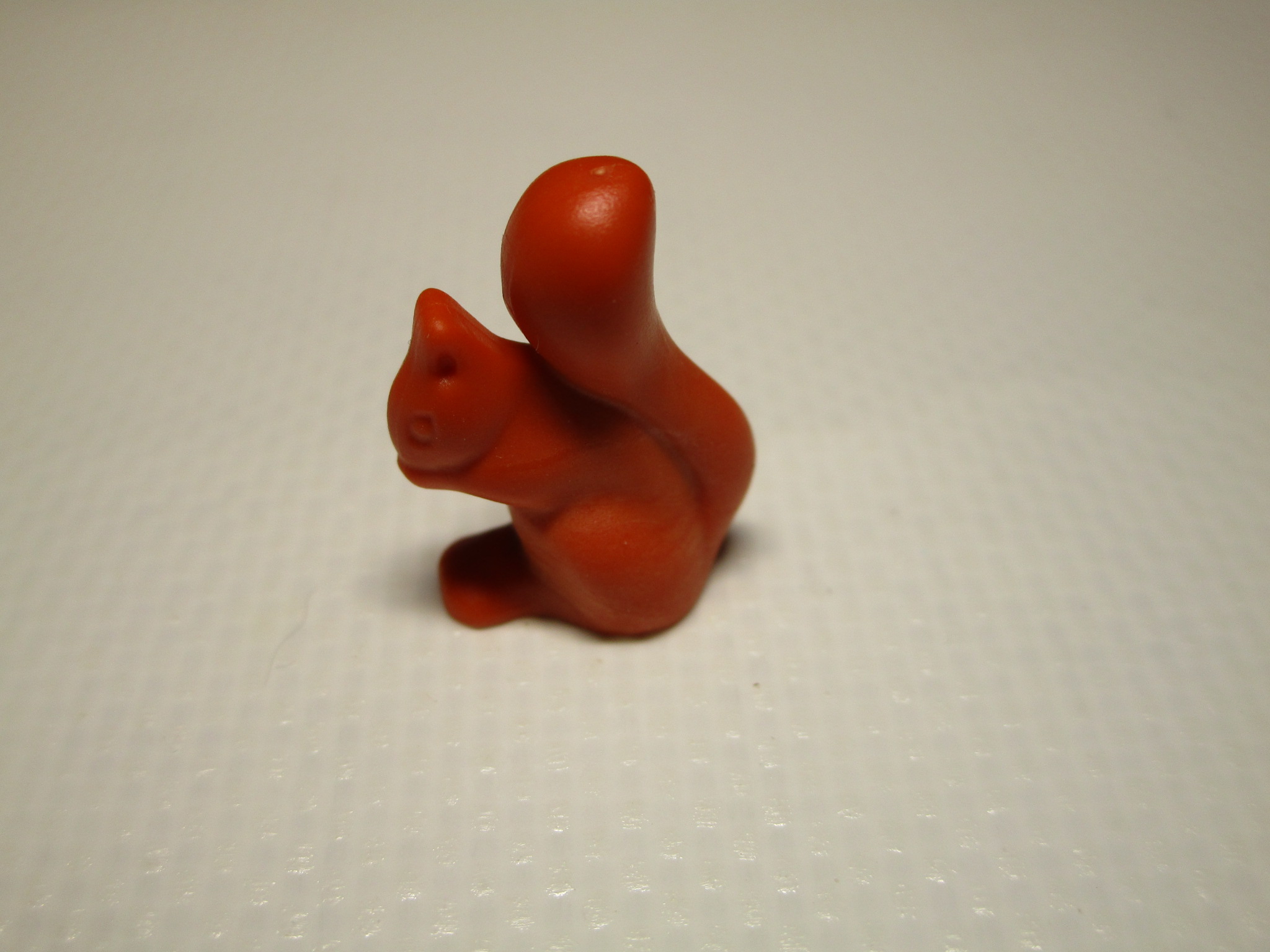 Eichhörnchen