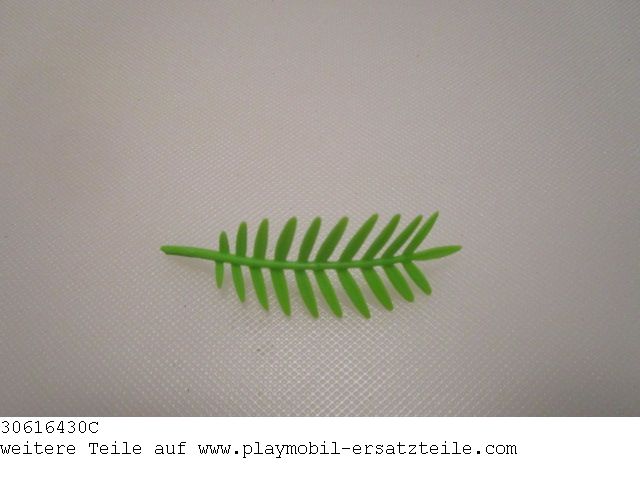 Palmwedel 03 30616430C