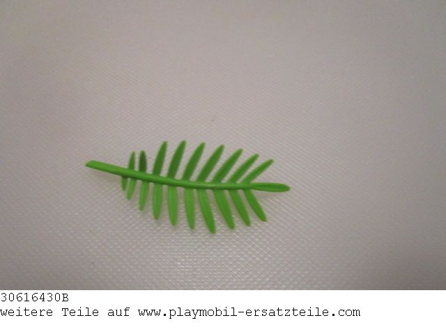 Palmwedel 02 30616430B