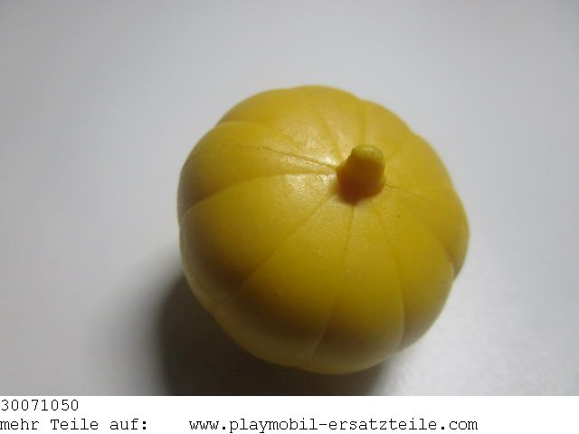Kürbis 30071050