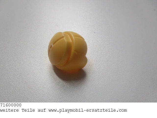 Haare Frau 01 71600000