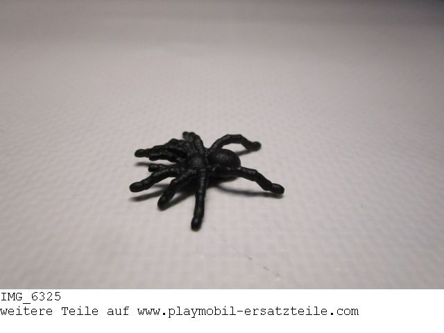 Spinne