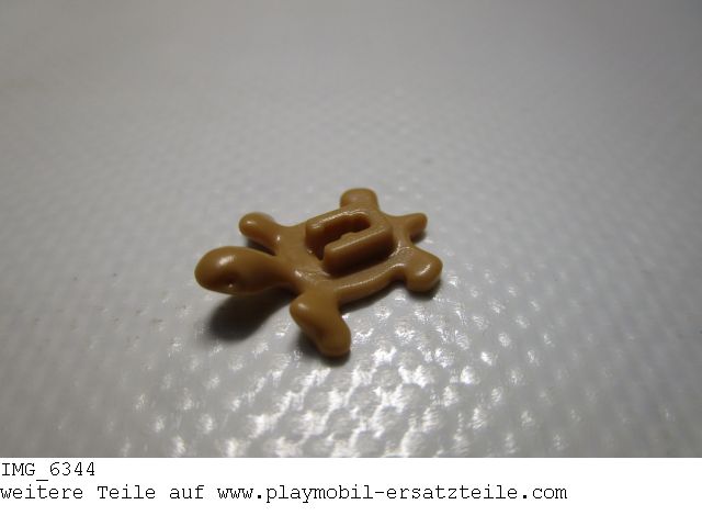 Schildkröte Junges UT