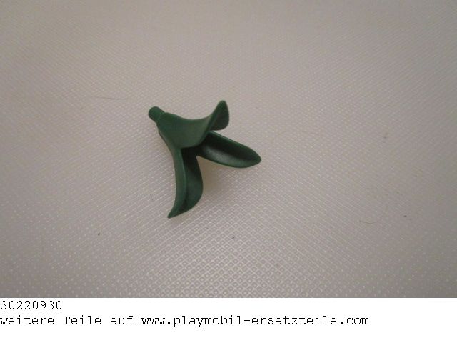 Pflanze 02 30220930