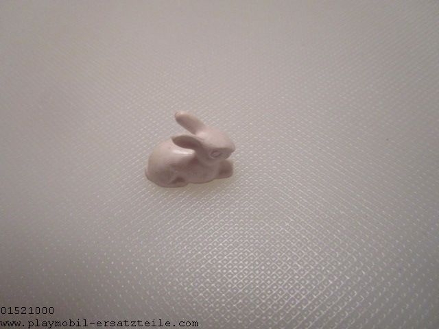 Kaninchen liegend 30612060