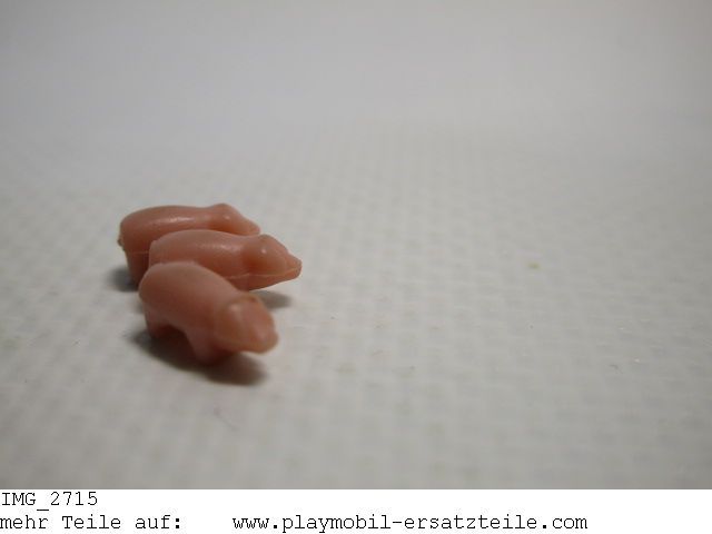Mikro Schweine IMG_2715