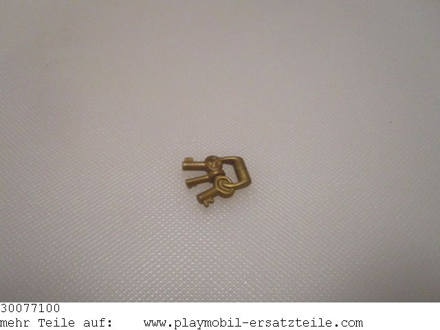 Schlüsselbund  30077100