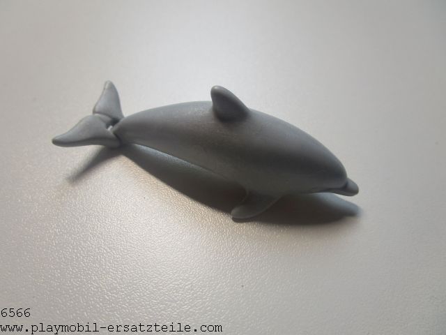 Delfin Junges 30653012