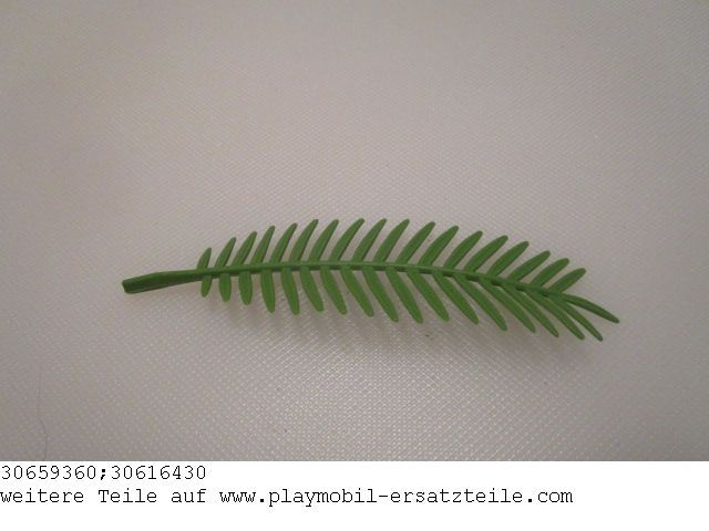 Palmwedel 05 30659360_30616430