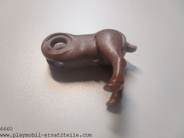 Steinbock Koerper 30651663KOE