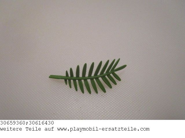 Palmwedel 02 30659360_30616430