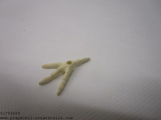 Dino Skelett 30512440H