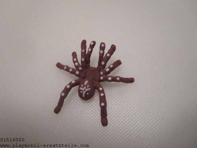 Spinne 30830490